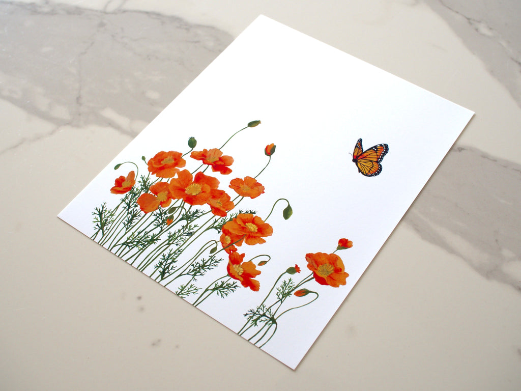 Poppy + Butterfly Print