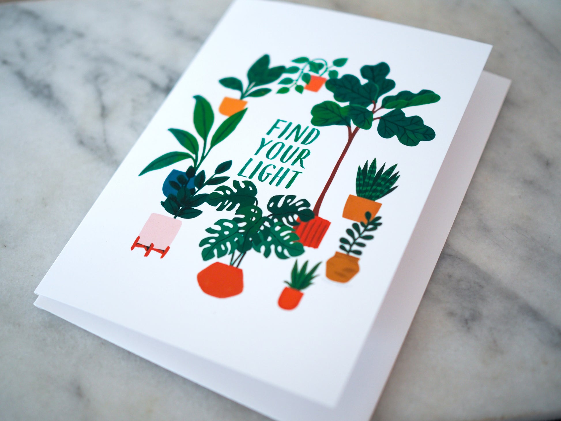 Find Your Light Plants Card