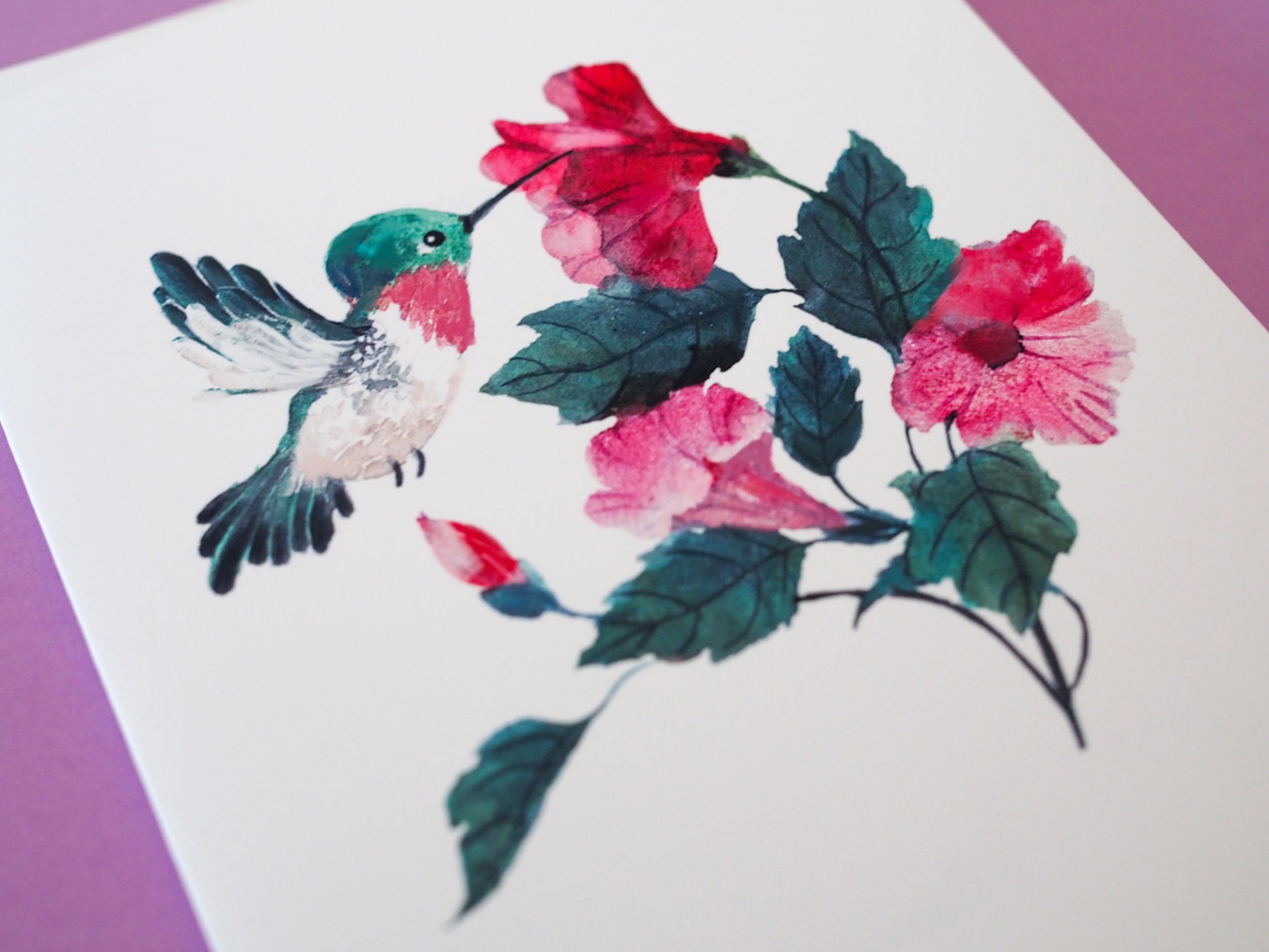 Illustration of a hummingbird and flowers on a white background on a purple background