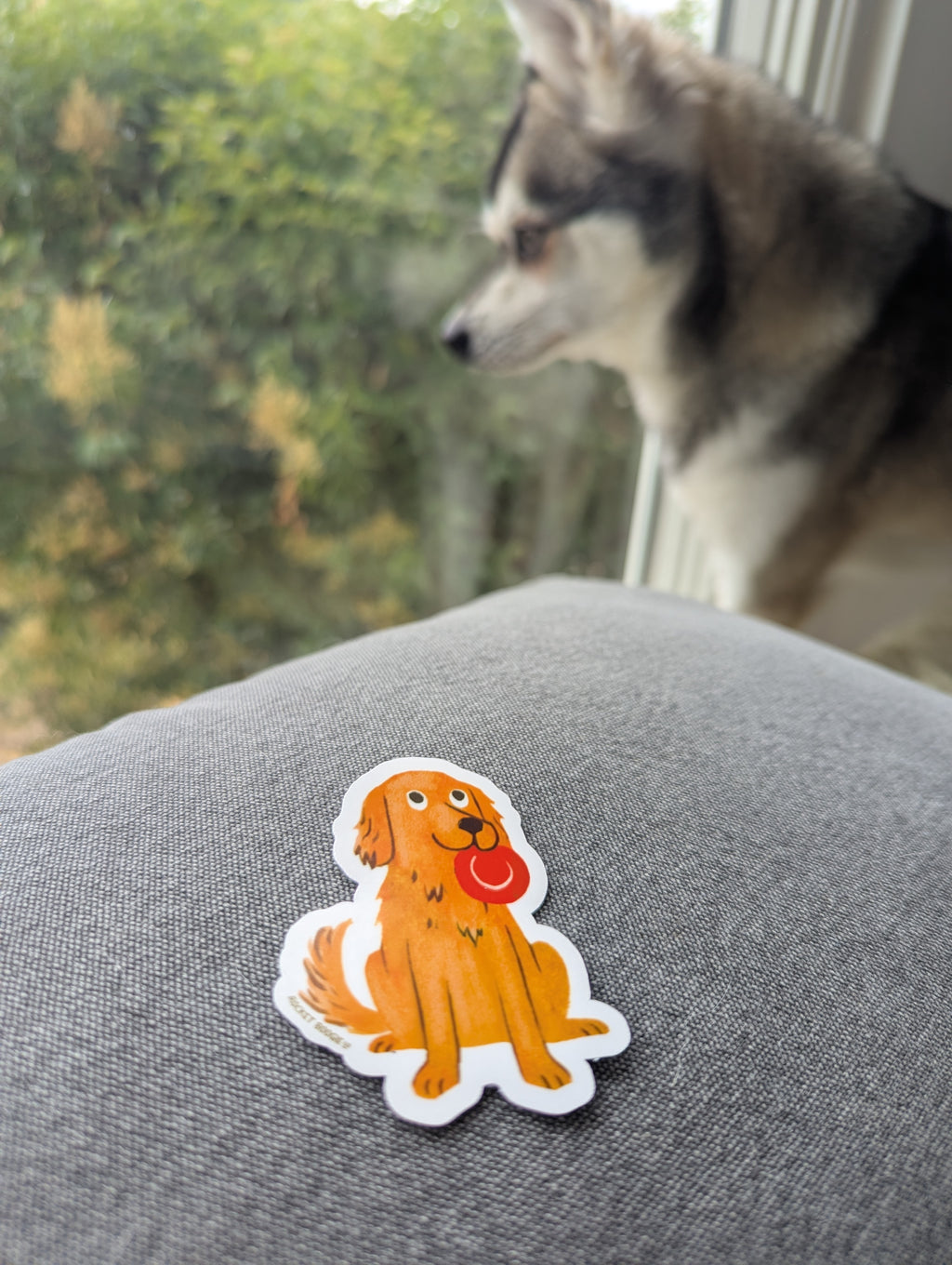 Golden Retriever with Frisbee Sticker