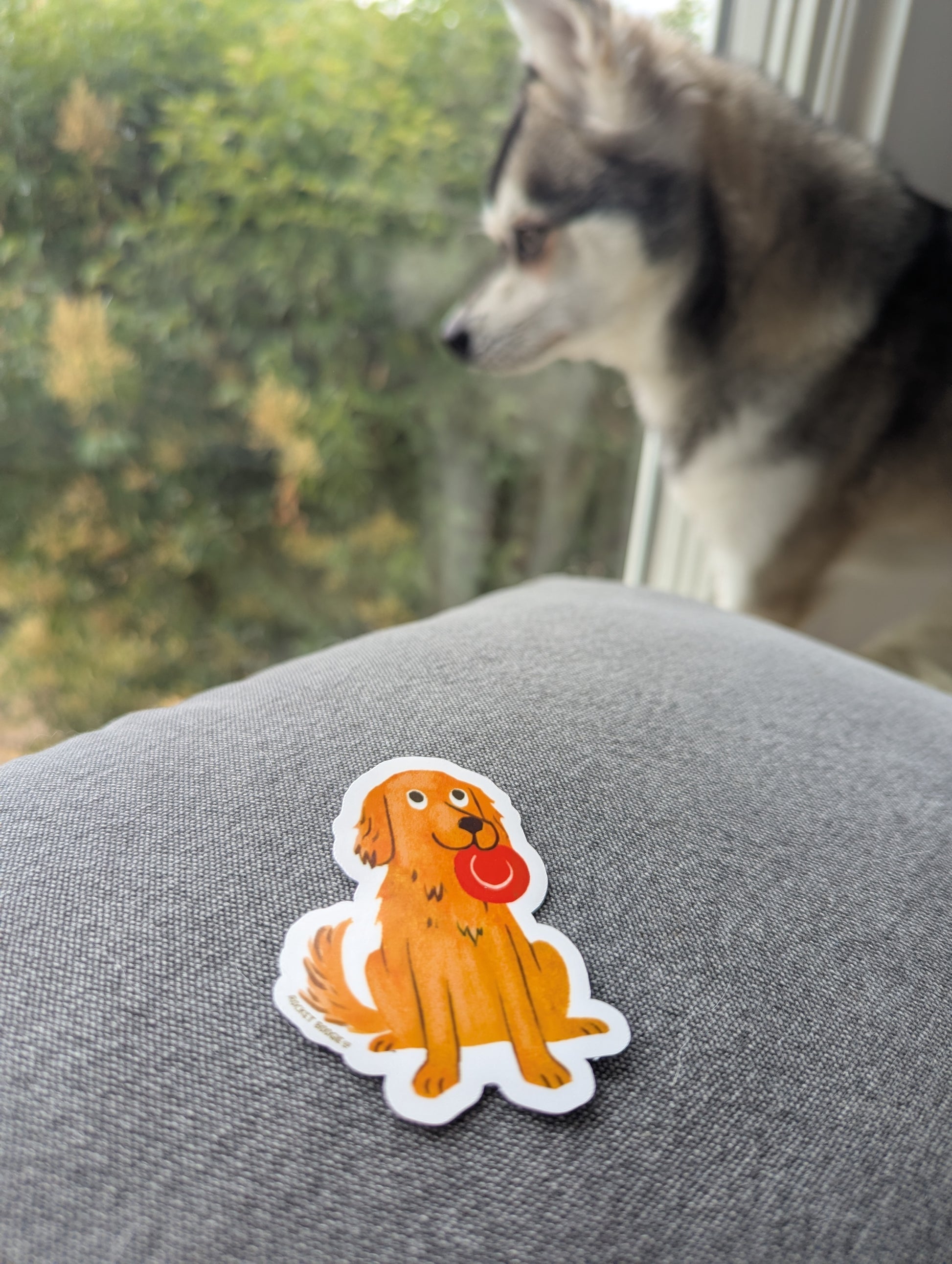 Golden Retriever with Frisbee Sticker