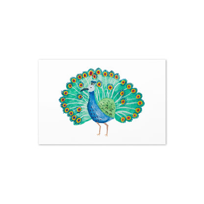 Peacock Card