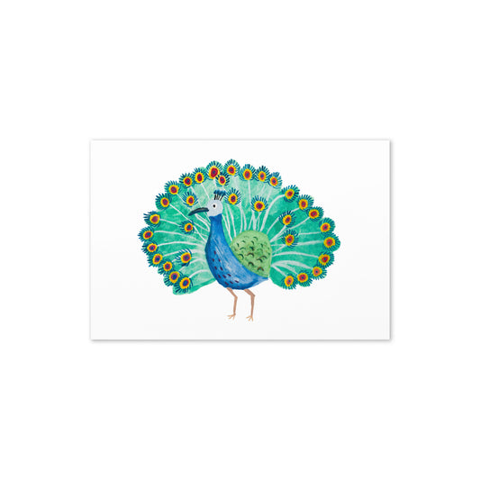 Peacock Card