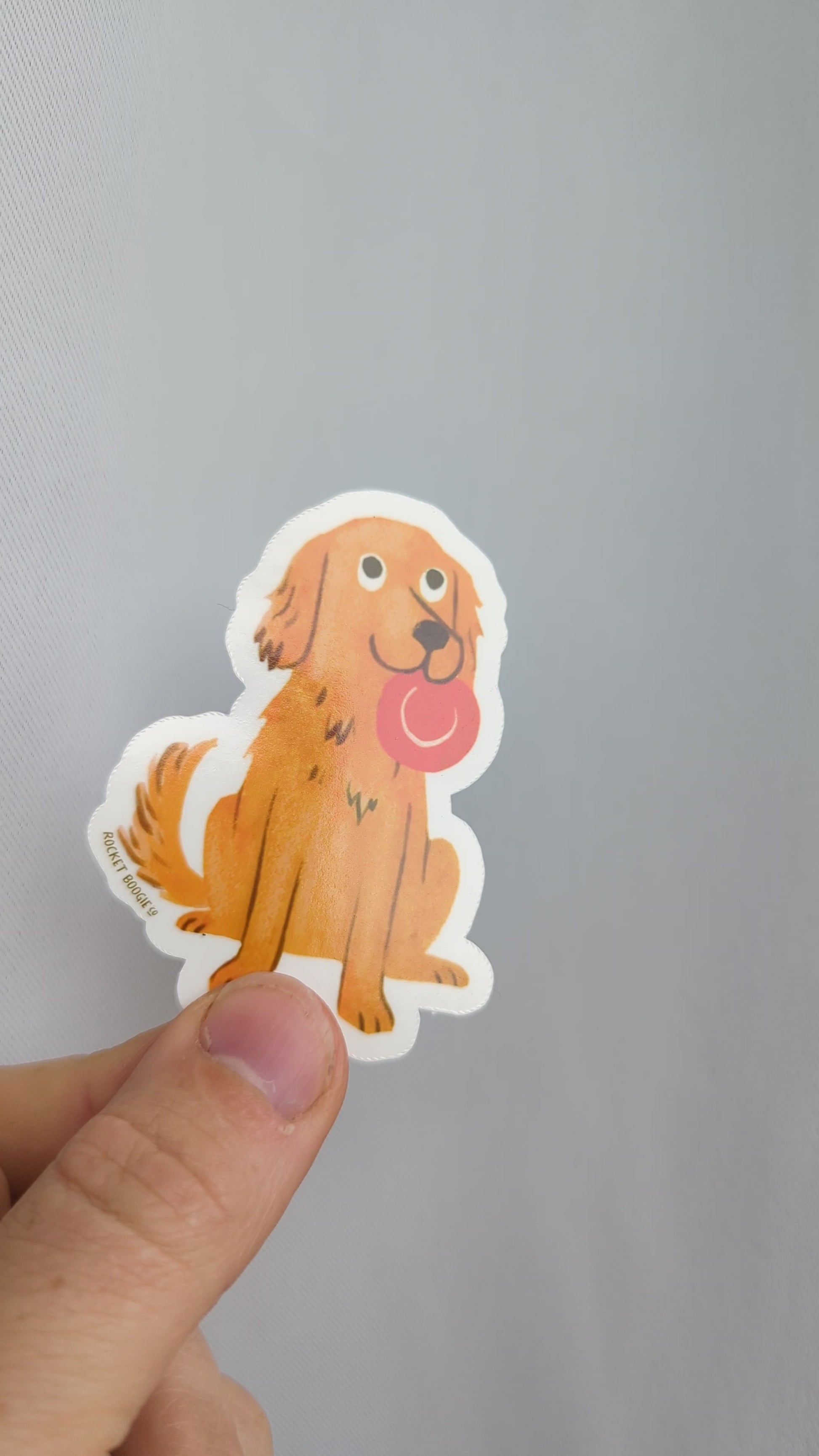 Golden Retriever with Frisbee Sticker