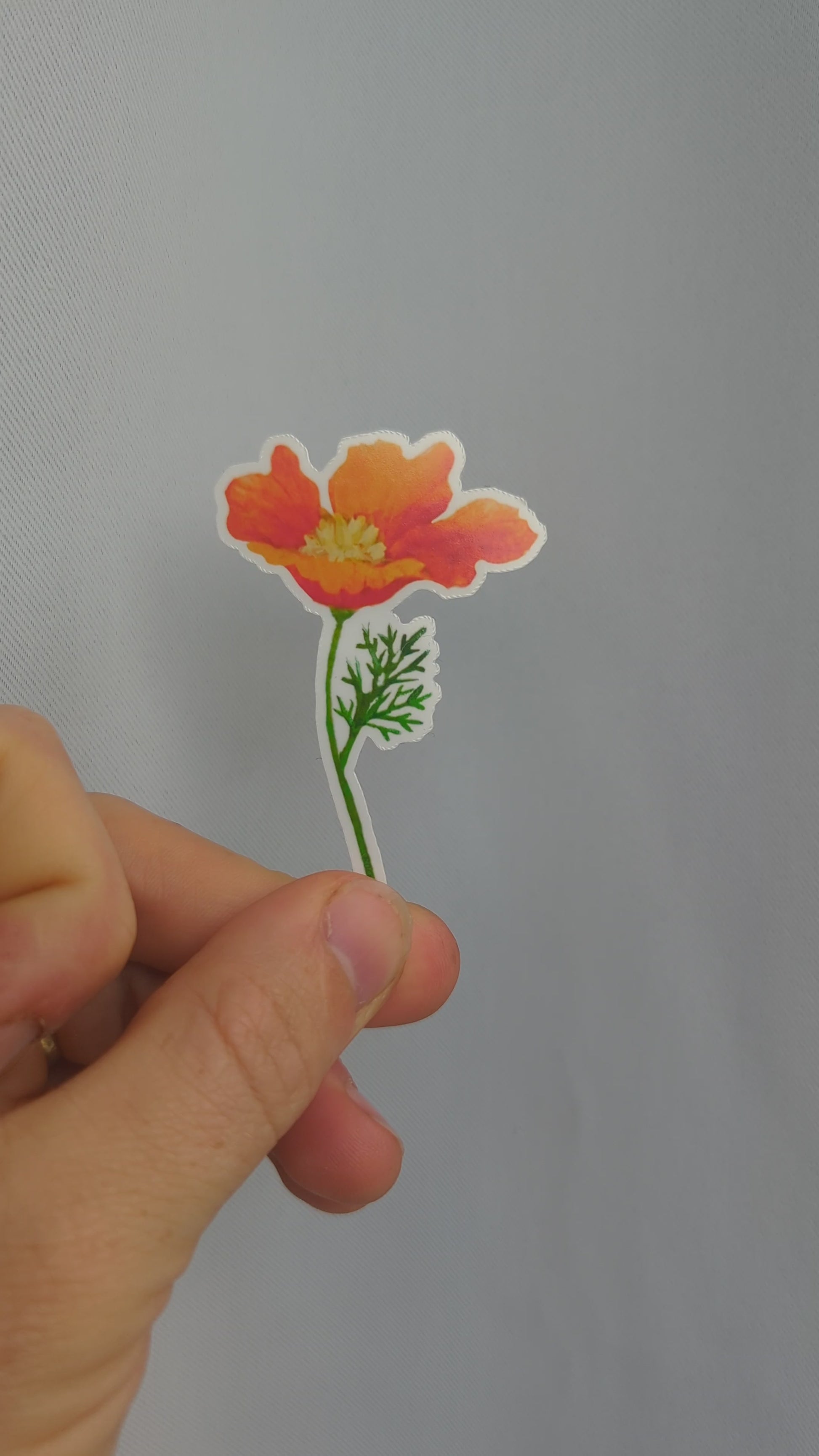 Sweet Poppy Sticker