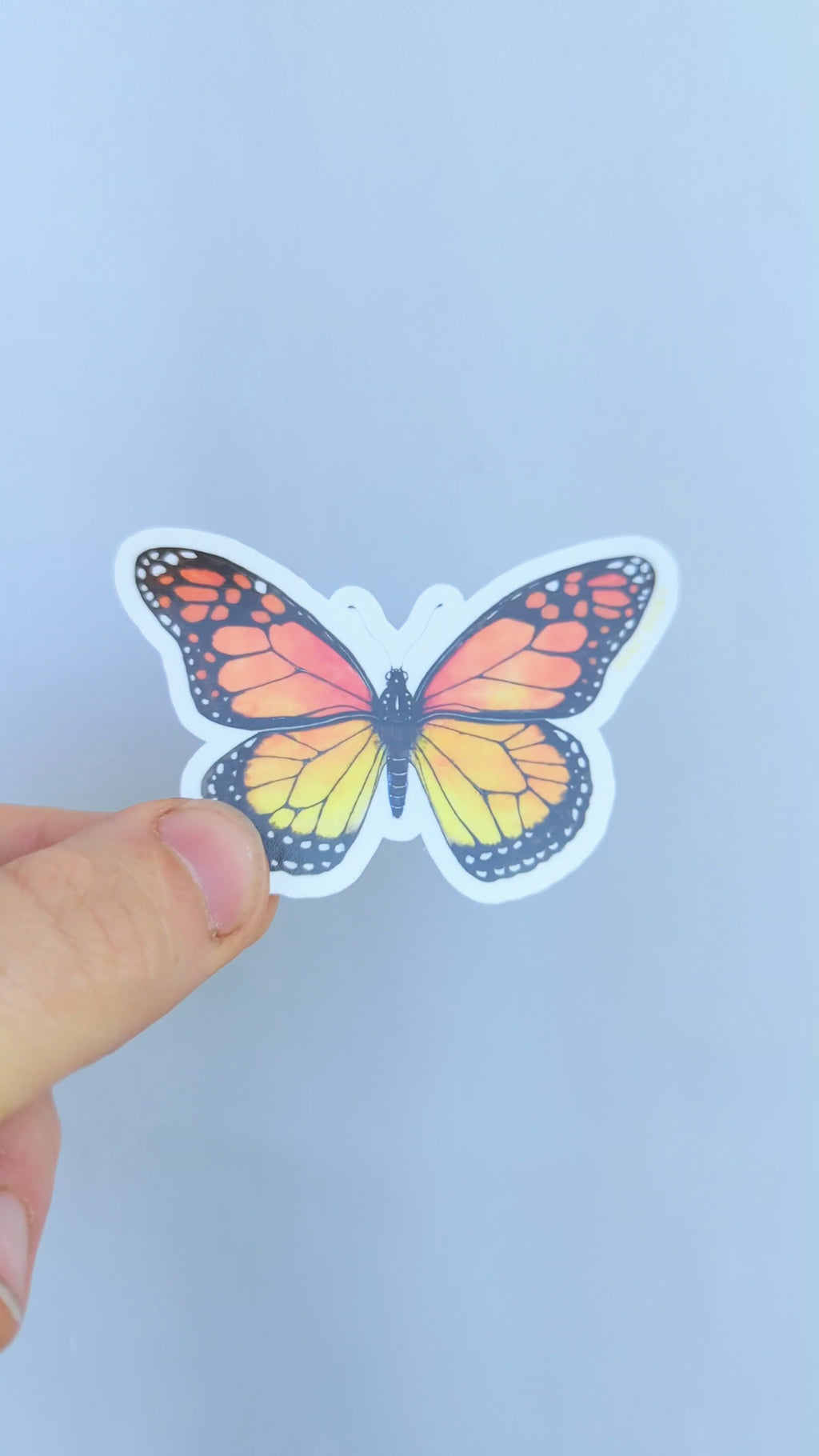 Butterfly Sticker